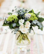 ���� White Basics rose- 20,5�� mzD057