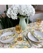 �������� ������������ ����� 35�45�� 4823093428010