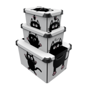    Style Box 412430 Meow Black 20