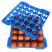Ємність для зберігання яєць 29x29x4см 73056