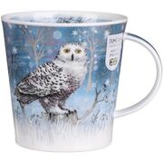  Cairngorm Moonbeam Owl 480 -  