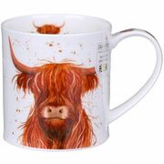  Orkney Shaggy tails highland cow 350