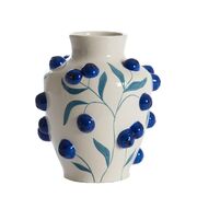  Blueberry 25,5 5721029 -  