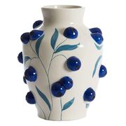  Blueberry 30,5 5721129 -  