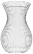  Asta Ribs 18 35446