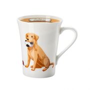  Cats & Dogs My Mug  400 02048-727436-15505