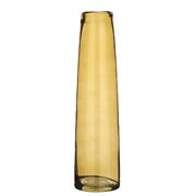  Xandra yellow 37,5 1083759