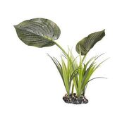   Jungle 29 1108731 -  