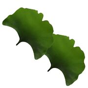    Leaves 4737 LEAVES-Ginko-2set