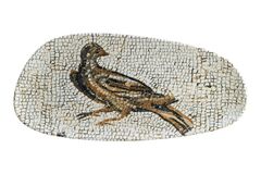   Mesapotamia 36 S-MT-MZPPJVAO36DT