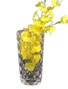  Marbur 29 A060266