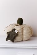   Medium Happy Fall Pumpkin  25 4823093472440