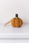   Mini Happy Fall Pumpkin  9 4823093472426