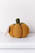   Happy Fall Pumpkin  15 4823093472495