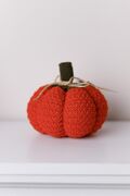   Happy Fall Pumpkin  15 4823093472501