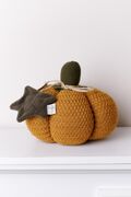   Happy Fall Pumpkin  25 4823093472464