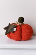   Happy Fall Pumpkin  25 4823093472433