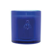  Abielle Gardin d'hiver 200 644948