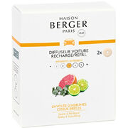     Car Diffusers Citrus Breeze 6580