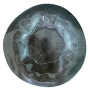   Flamenco Shell Grey 25 FLA2125-T0015