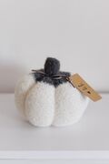   Happy Fall Pumpkin     15 4823093475304
