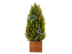 Можжевельник декоративный в горшке 48см 801-583 - в интернет-магазине Мир посуды Можжевельник декоративный в горшке 48см 801-583 - Мир посуды