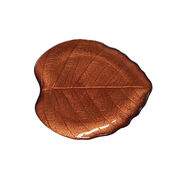  Forest Dream   2320 R1537#FODR