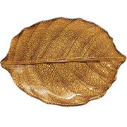  Forest Dream   2320 R1534#FODO