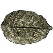  Forest Dream   3221 R1535#FODG