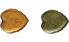   Forest Dream   1816 R1536#FODG