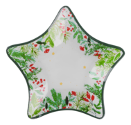  NY Xmas Star 20,5 ST0108