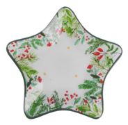  NY Xmas Star 26 ST01105