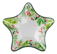  NY Xmas Star 20 ST2108 -  