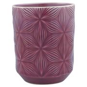 ������ ��� ����� Kallia plum 250�� 5707463264059