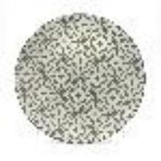 ������ ����� PetalBreeze 26,7�� M0580-TRSC251811-105P