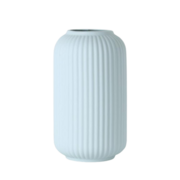 ���� Loreto 21,5�� AR3818B - ��� ������