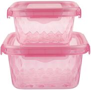Набор контейнеров pink 16х11/19х14см СО025 - в интернет-магазине Мир посуды Набор контейнеров pink 16х11/19х14см СО025 - Мир посуды
