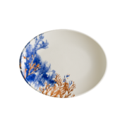 ����� ������� Aquelis 2 Moove 25�� F-AER2MOV25OV - ��� ������