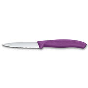 ��� ��� ������ Swiss Classic Purple Paring 8�� Vx67635.C1