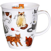 ������ Nevis Designer Cats 480��