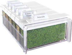    Herbs Spice Box 0,075 EM509262 -  