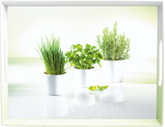 ϳ Classic herbs 50 EM504861 -  