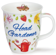  Head Gardener Nevis High Society 3 480 -  