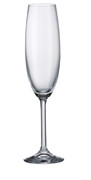 Набір келихів для шампанського Colibri Без декору 220мл 4S032/00000/220