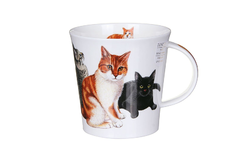  Cairngorm Cats&kittens ginger 480 -  