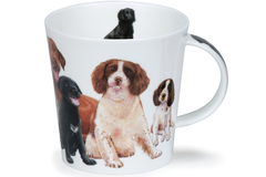  Cairngorm Dogs&puppies spaniel 480 -  