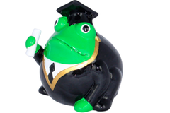 - Frogmania 148-00466 Frog Graduate Freddy 9 101003489 -  