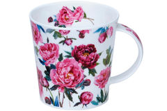  Cairngorm Cottage blooms peony 480 101005754 -  
