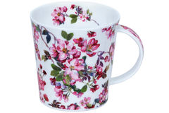  Cairngorm Cottage blooms cherry 480 101005755 -  
