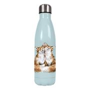    Water bottle Foxes 500 WB004 -  